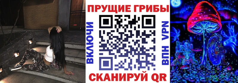 Купить  Чистополь  Галлюциногенные грибы прущие грибы 