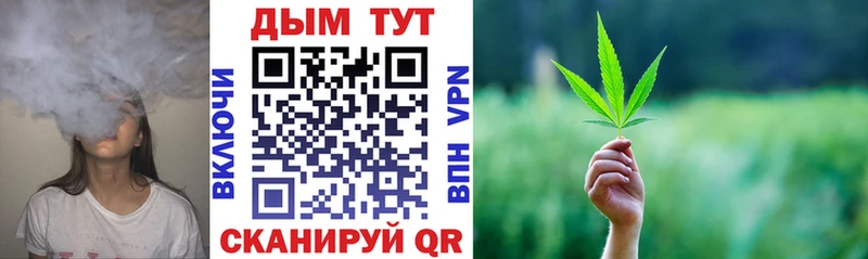 Бошки Шишки семена  Купить  Чистополь 